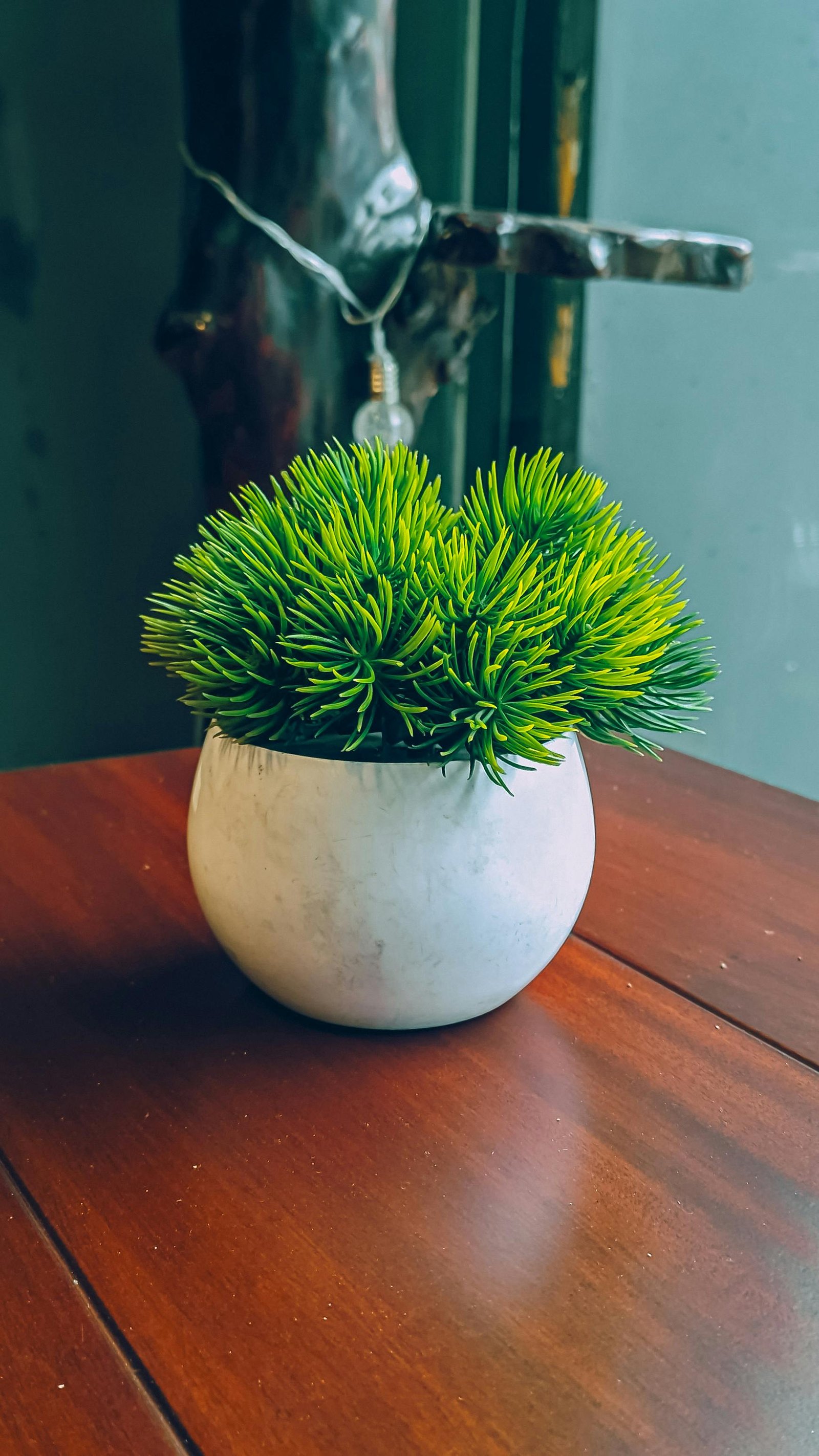 Decoración del Hogar Moderna